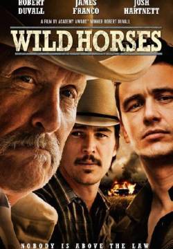 Wild Horses
