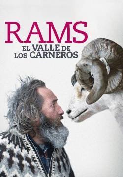 Rams - Storia di due fratelli e otto pecore